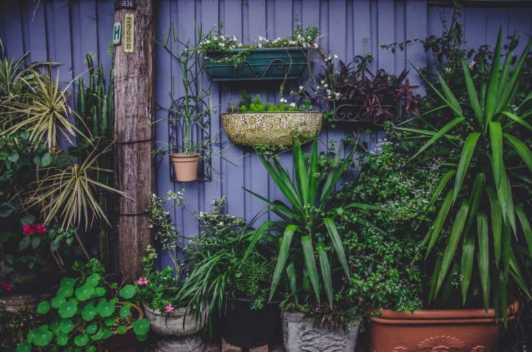 garden ideas with pots