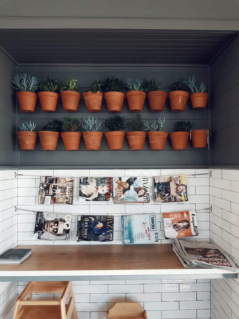 ideas to elevate potted plants