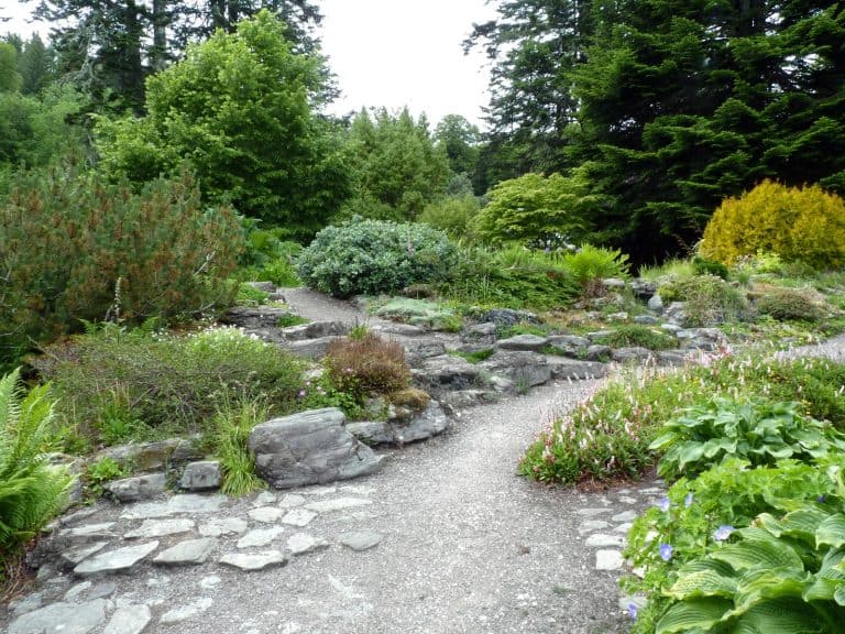 Rock Garden Plants