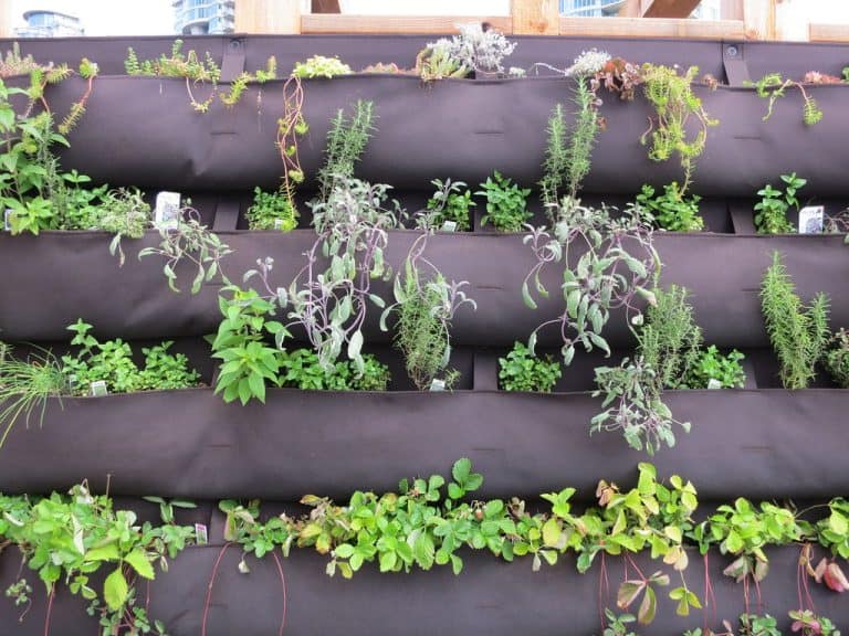 vertical herb garden