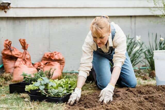 How Gardening Reduces Stress and Anxiety